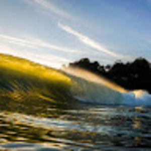 Meet your Posher, Jack